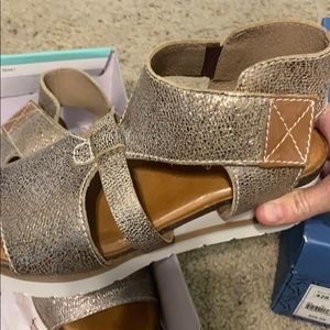 DIBA True Pewter wedge size 7 -